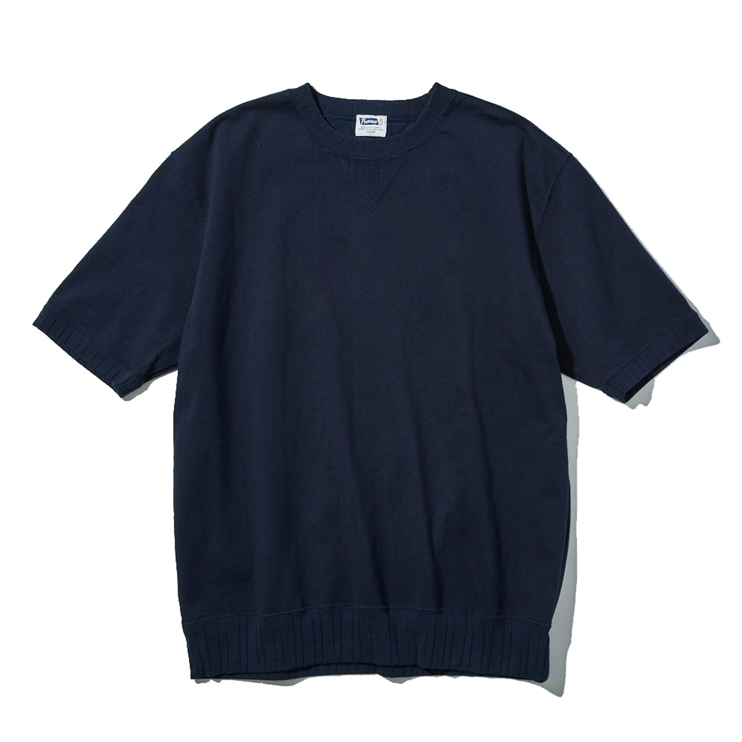 PVGT