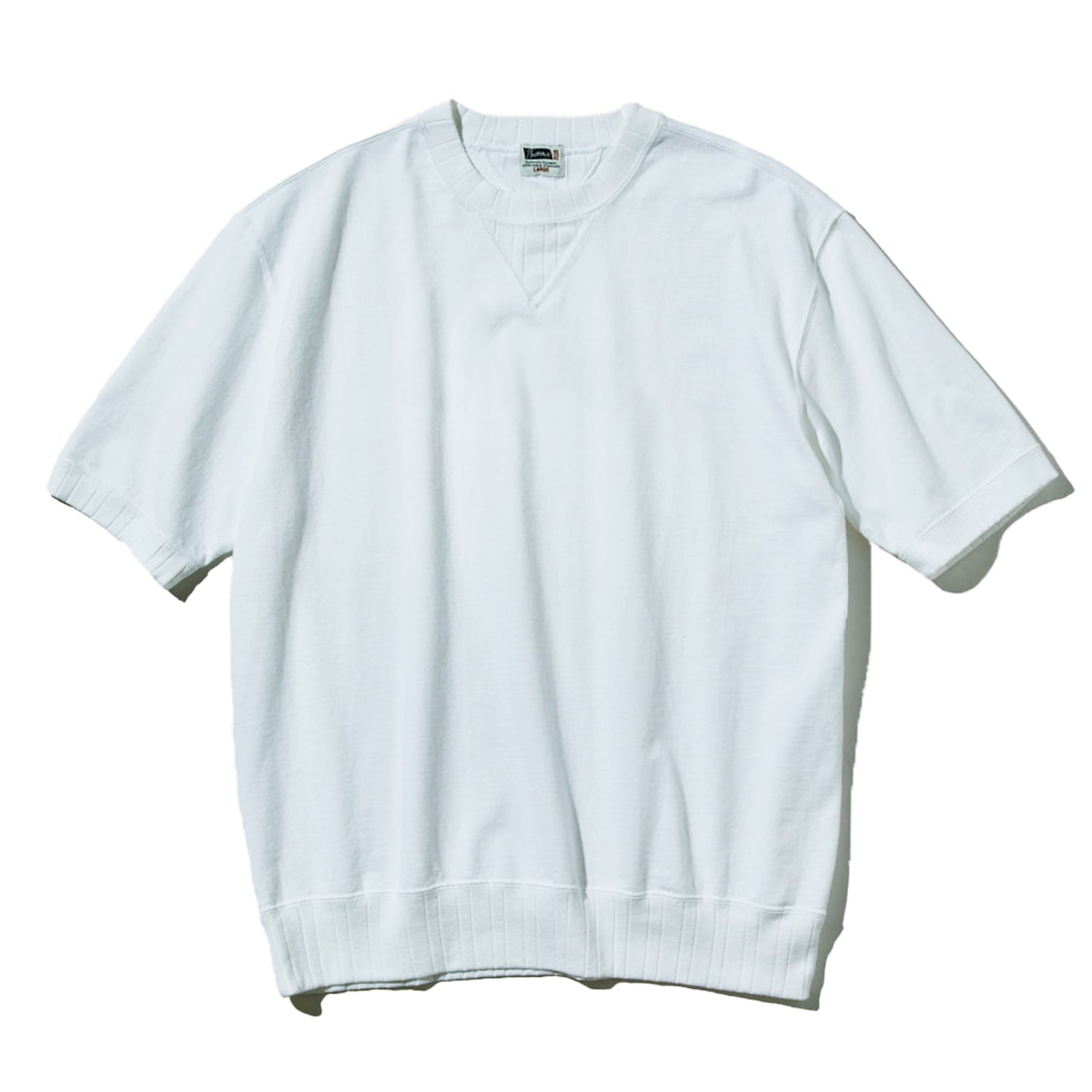 PVGT